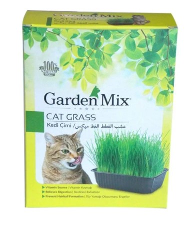 Gardenmix Kedi Çimi X 6 Adet