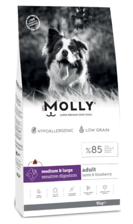 Molly Medium Large Adult Kuzu Etli Yaban Mersinli Yetişkin Köpek Maması 15 Kg