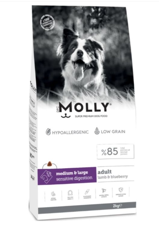 Molly Medium Large Adult Kuzu Etli Yaban Mersinli Yetişkin Köpek Maması 2 Kg