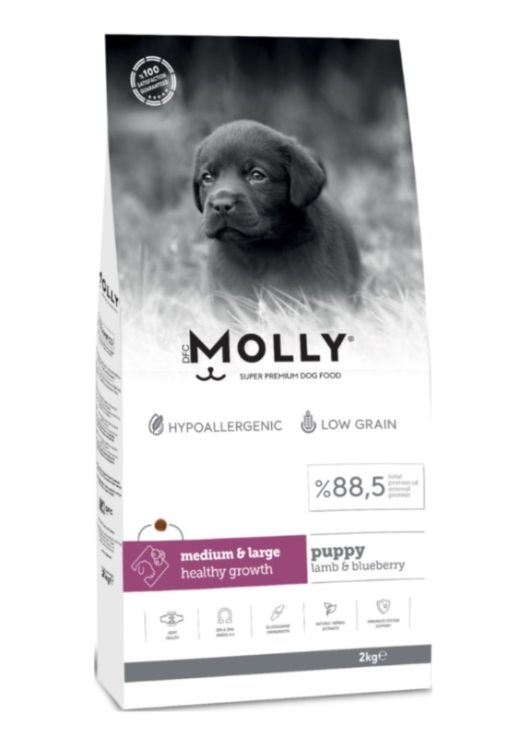 Molly Medium Large Puppy Kuzu Etli Yaban Mersinli Yavru Köpek Maması 2 Kg