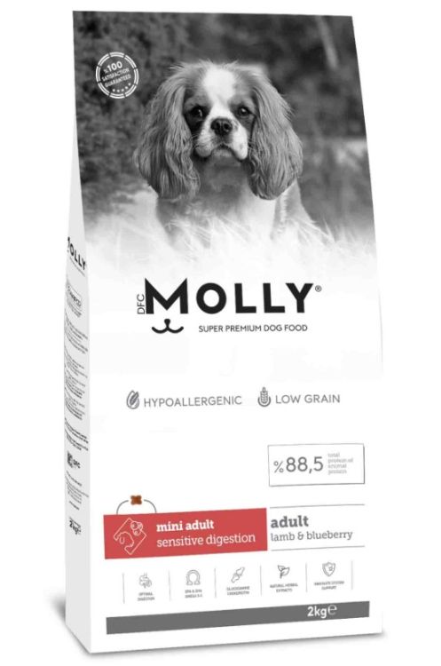 Molly Mini Adult Kuzu Etli Yaban Mersinli Yetişkin Köpek Maması 2 Kg